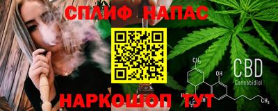 прущие грибы Усть-Илимск