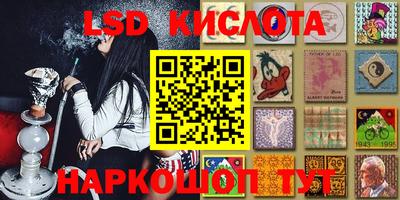 прущие грибы Усть-Илимск